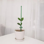 12 Inch Plant Support Stakes, - Image 2
