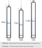 Aoderun Hanging Glass Planter Water Iron Art Hydroponic Vase Transparent Test - Image 2