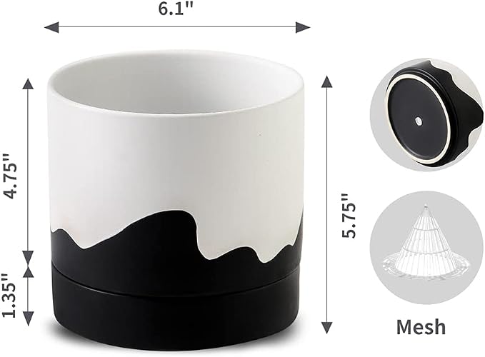 Nihow Ceramic Plant Pot: 6 Inch Planter - Image 2