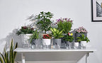 Self Watering Planter for Indoor Plants, 2 Pack 9.3 Inch Flower Pot Modern - Image 5