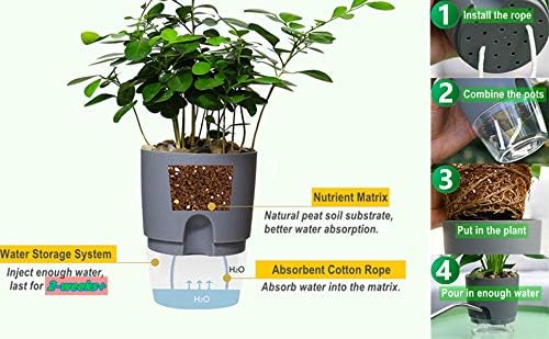 Self Watering Pots for Indoor Plants, 5 Pack 6/4.1/3.2 Inch Flower Pot Modern - Image 7