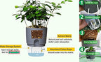 Self Watering Pots for Indoor Plants, 5 Pack 6/4.1/3.2 Inch Flower Pot Modern - Image 7