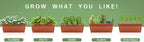 Suyncll Vertical Raised Garden Bed Planter Box, 5 Tiers Vertical Garden Planter - Image 9