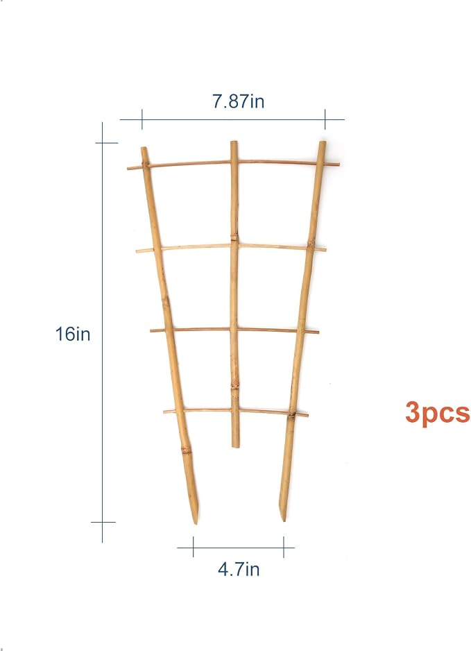 3Pack Bamboo Trellis 16 Inch Fan Shaped Small Plant Trellis - Image 3