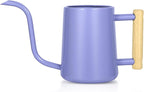 Watering Can Indoor Plants, 35 oz/1000 ml Metal Stainless Steel Watering Can Pot by Unknown