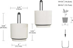 2 Pcs Wall Mounted Hanging Planter Vase - Image 2