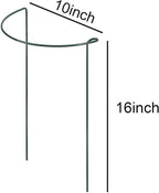 Plant Support Stakes - Image 2