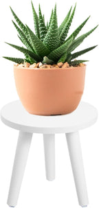 Samll Plant Stand Indoor/Outdoor - Image 7