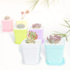 24 Pack 3inch Multi Color Square Plastic Plant Pots, Seedling Nursery - Image 6