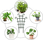 6PCS Trellis for Potted Plants, Stackable Indoor Plant Trellis for Climbing - Image 3