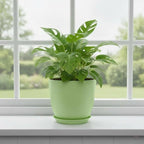 Plant Pots 8 Inch Set of 6, Flower Pots - Image 6