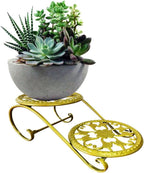 plant stand by Unknown