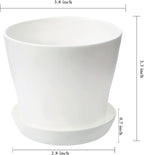 TDHDIKE 10 Pcs Plastic Planters Indoor Flower Plant Pots, Mini Flower Seedlings - Image 2