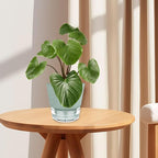 6-Inch Self-Watering Plant Pot - Image 5