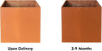Corten Steel Planter Box Outdoor Planter Metal Square 20 Inch Large Steel - Image 6