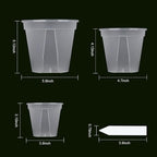 GREENPARA Transparent Plastic Planter 4/5 /6 inch Plant Nursery Pots - Image 2