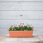 Root & Vessel 16245 Countryside Flower Box, Terracotta - Image 3