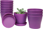 TDHDIKE 10 Pcs Plastic Planters Indoor Flower Plant Pots, Mini Flower Seedlings by TDHDIKE