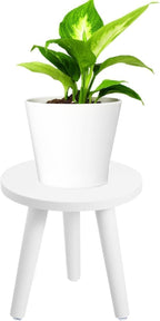 Samll Plant Stand Indoor/Outdoor - Image 8
