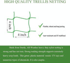 Trellis Netting for Climbing Plants - Image 3