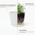 Plant Pots 8 Inch Set of 6, Flower Pots - Image 4