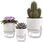 6/4/3Inch Self Watering Planter Pots 3 Pack Plant Pot - Image 8