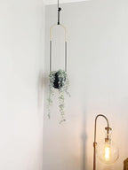 Metal Hanging Planter for Indoor Outdoor Plants Wall and Ceiling Hanging Flower - Image 7