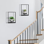 Wall Planters for Indoor Plants, Window Plant Shelves Set of 3, Wall Plant - Image 8