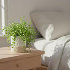 Nihow Self Watering Plant Pot: 4.5 Inch Ceramic Planter - Image 4
