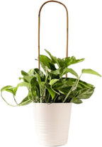 20 Pack Bamboo U Trellis for Potted Plants - Image 4
