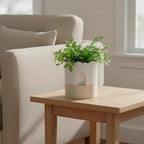 Nihow Self Watering Plant Pot: 6 Inch Ceramic Planter - Image 4