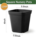 BTPLASTIK Small Plant Pots 3.5 Inch, Durable Plastic Succulents Pots - Image 2