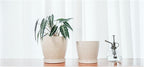 Docrin Ceramic Plant Pots Indoor, 6.6 + 5.5 Inch Planters - Image 5