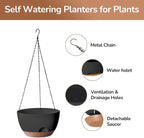 Set of 2-12 Inch Hanging Planter, Self-Watering Hanging Planters - Image 4