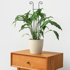 Coomin 23in Taller Plant Trellis - Image 9