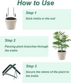 Small Plant Trellis for Climbing Plants Indoor - Image 7