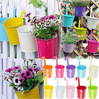 KINGLAKE Flower Pots - Image 2