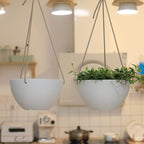 La Jolie Muse White Hanging Planter Basket - Image 6
