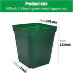 Square Nursery Succulent Pots 4 Inches 60 Pcs Deep Flower Plant Nursery - Image 2