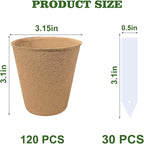 Biodegradable Peat Pots for Seedling - Image 2