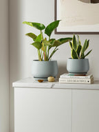 LE TAUCI Plant Pots for Indoor Plants, 4.1+5.1+6.5 inch, Ceramic Planters - Image 2
