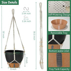Self-Watering Hanging Planters for Indoor Plants Set 2-Piece Includes Plant - Image 3