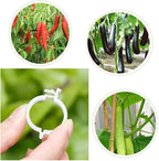 OJYUDD 300 PCS Plant Support Garden Clips, Tomato Vine Clips, Durable Crop - Image 6