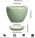 6 Inch Plant Pot - Image 3