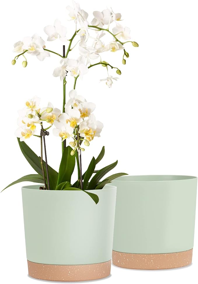 kubvici Indoor Plant Pots Set of 2 Planters 8 inch Plastic Planter by kubvici