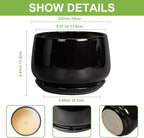 G EPGardening 6 Inch Planter - Image 3