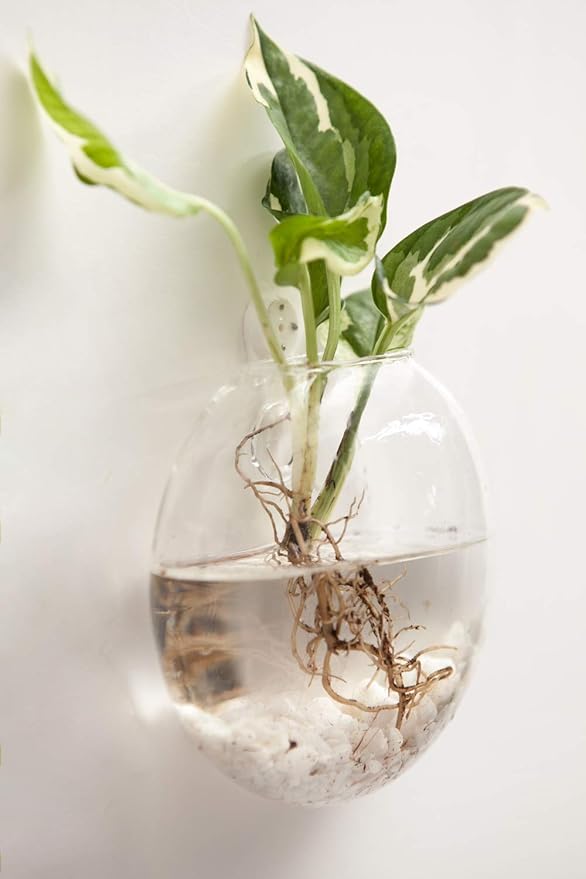Mkono Wall Hanging Glass Terrariums Planter Oblate Flower Vase - Image 4