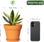 5 Inch Plastic Plant Pots with Drainage Holes and Trays – 6 Pack Small Nursery - Image 3