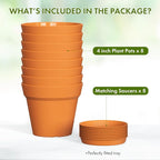 4 Inch Plastic Plant Pots with Drainage Holes and Trays – 8 Pack Small Nursery - Image 5