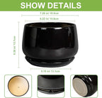 G EPGardening Ceramic Planter 7 Inch - Image 3